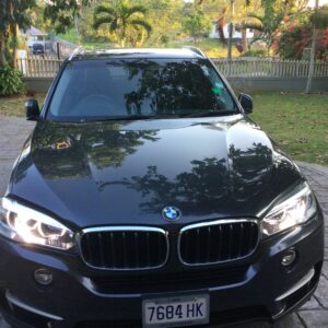 2017 BMW X5 (Diesel)