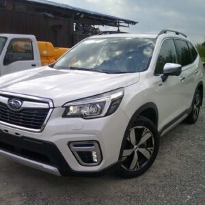 Clean RHD 2019 SUBARU FORESTER