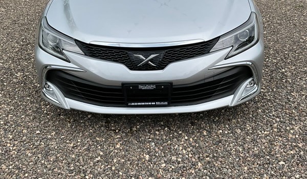 Newly import Toyota mark x 2017